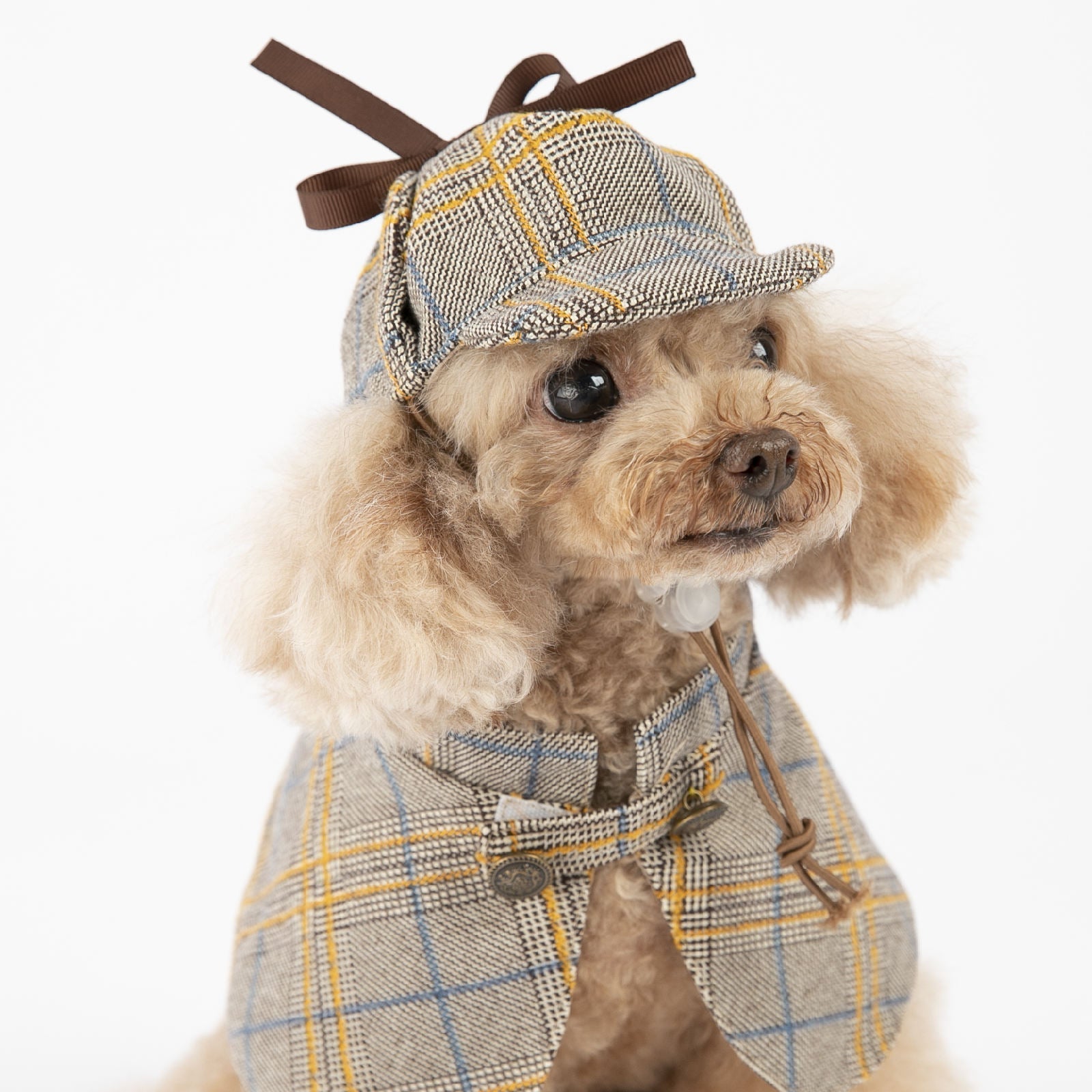 Dog Clothes