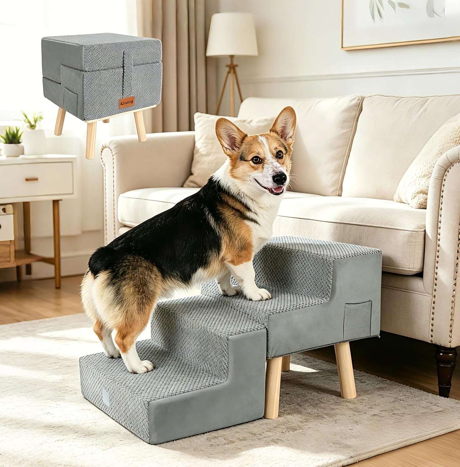 Dog Steps & Ramps