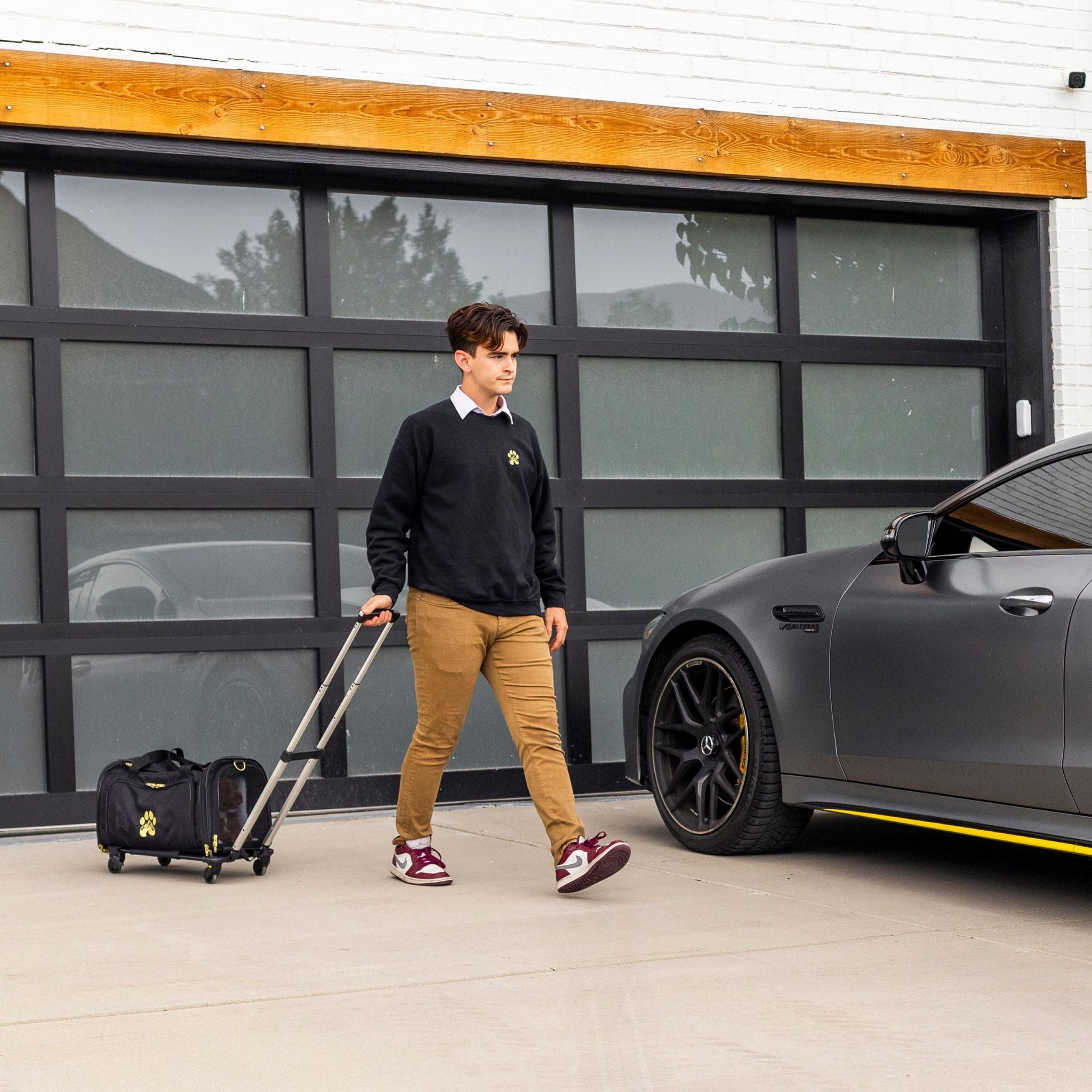 Air Pup Travel Pet Carrier