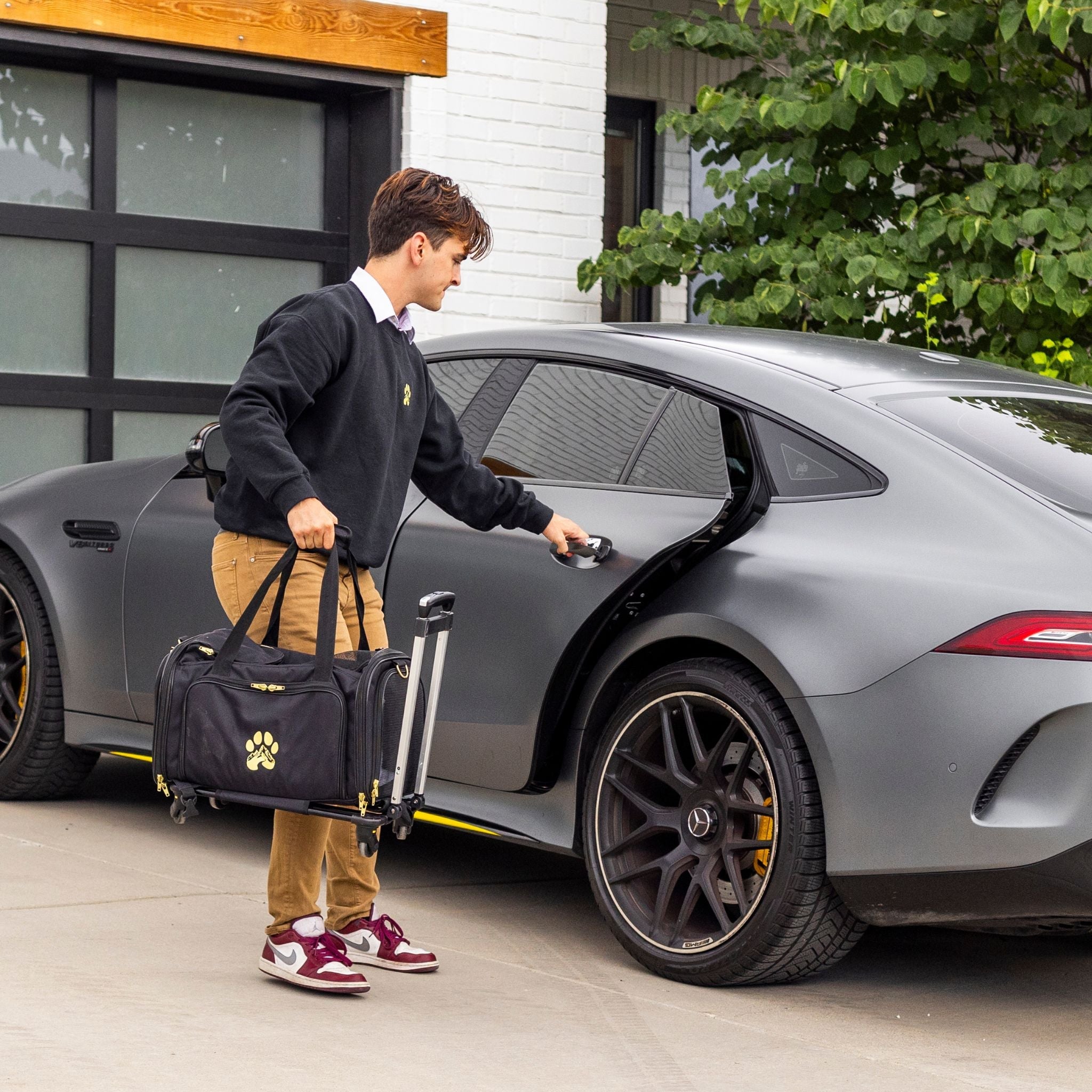 Air Pup Travel Pet Carrier