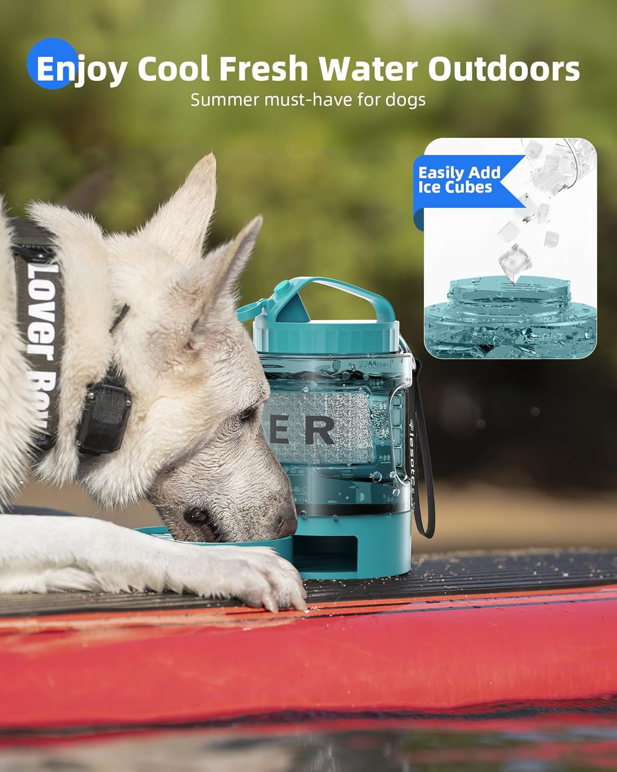 77oz Dog Travel Water Bottle with Bowl Leak Proof Hiking Camping Bottle