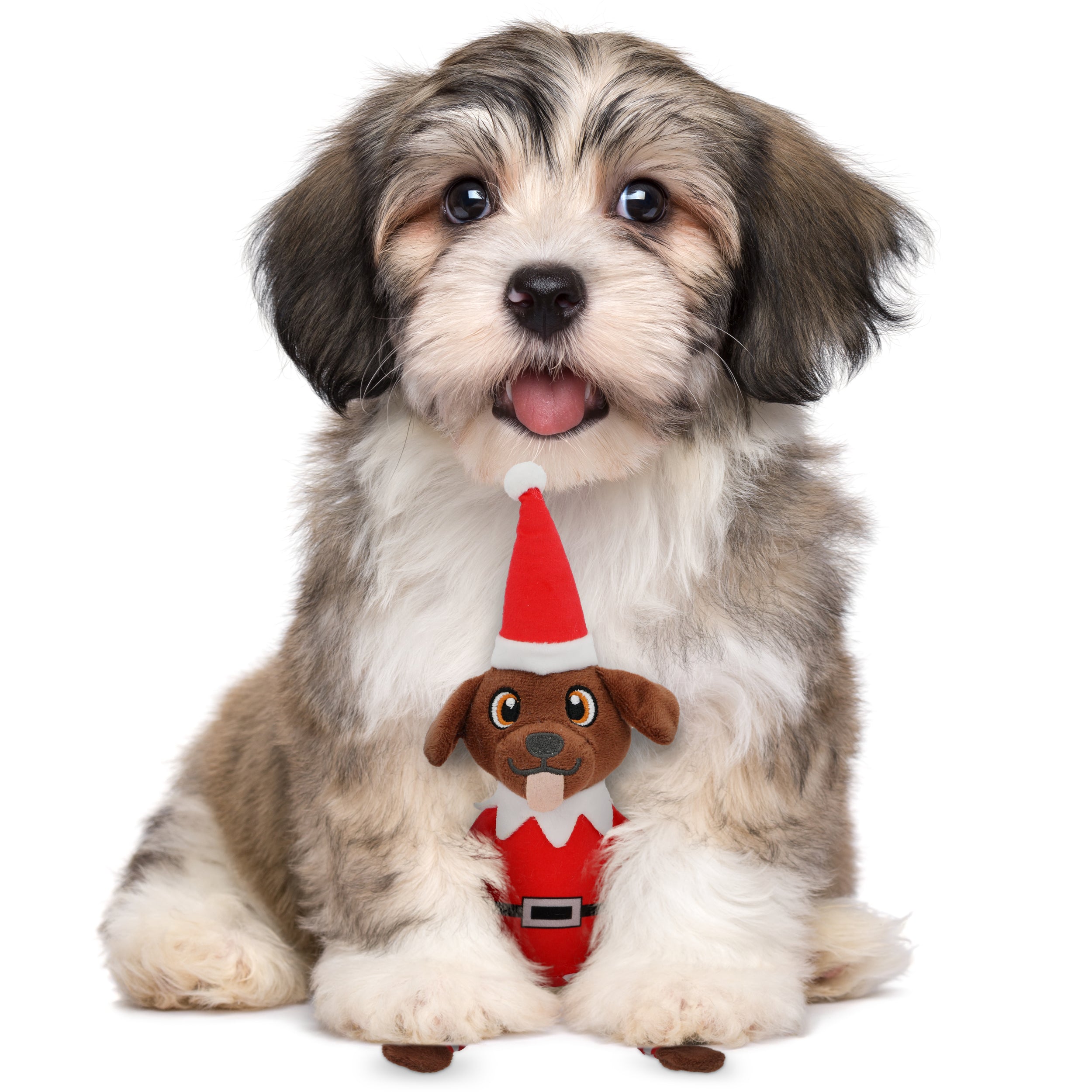 PUPROAR Pooch on a Perch | Elf Dog Toy & Christmas Dog Toy