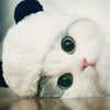 Panda costume pet hat