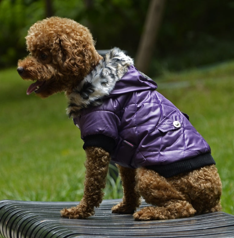 Warm Hooded Fashion Dog Coat