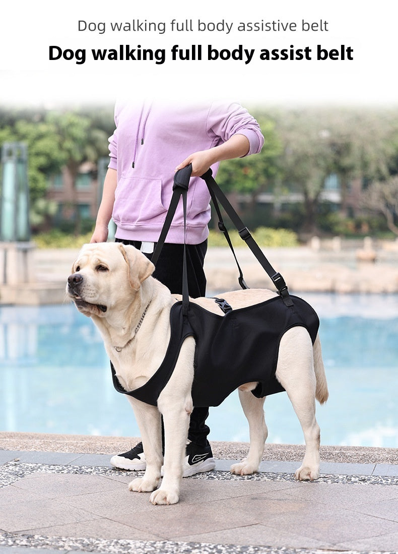 Oxford Cloth Dog Injury Travel Auxiliary Strap