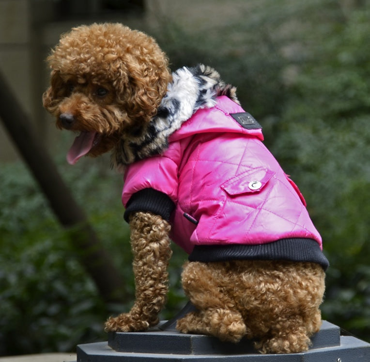Warm Hooded Fashion Dog Coat