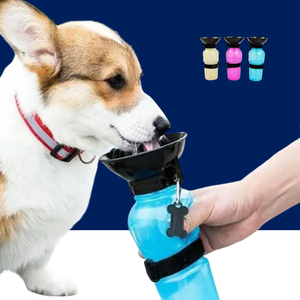 500ml Outdoor Portable Pet Water Bottle – Leakproof Dog & Cat Travel Cup with Drinking Bowl Feeder