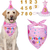 Dog Birthday Party Supplies – Premium Bandana & Hat Set for Dogs