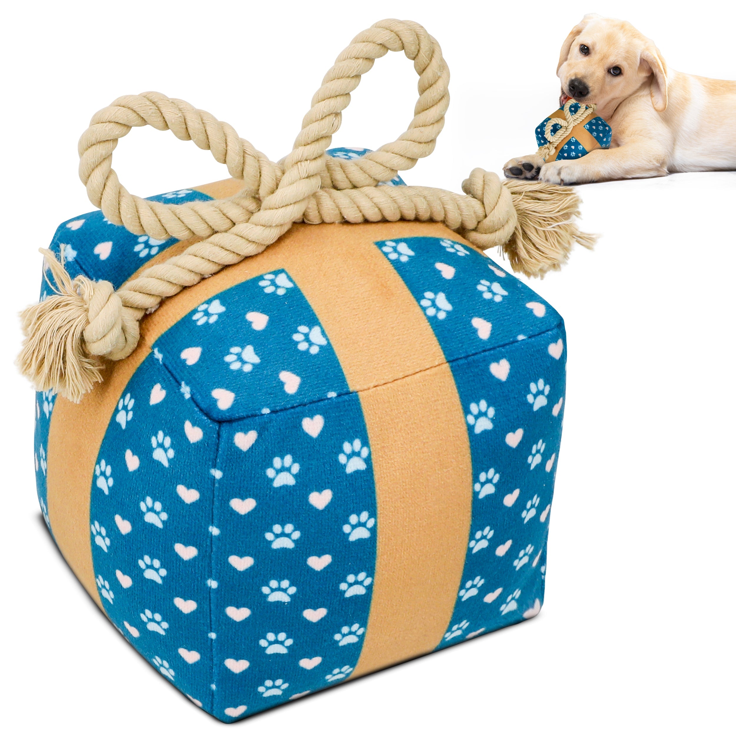 PUPROAR Gift Box Dog Toy | Cute Squeaky Birthday Dog Toy with Rope Bow