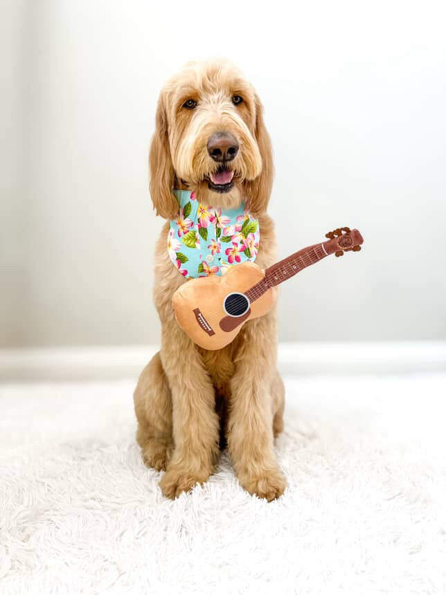 PUPROAR Guitar Dog Toy | Cute Squeaky Plush Dog Toy with Crinkle