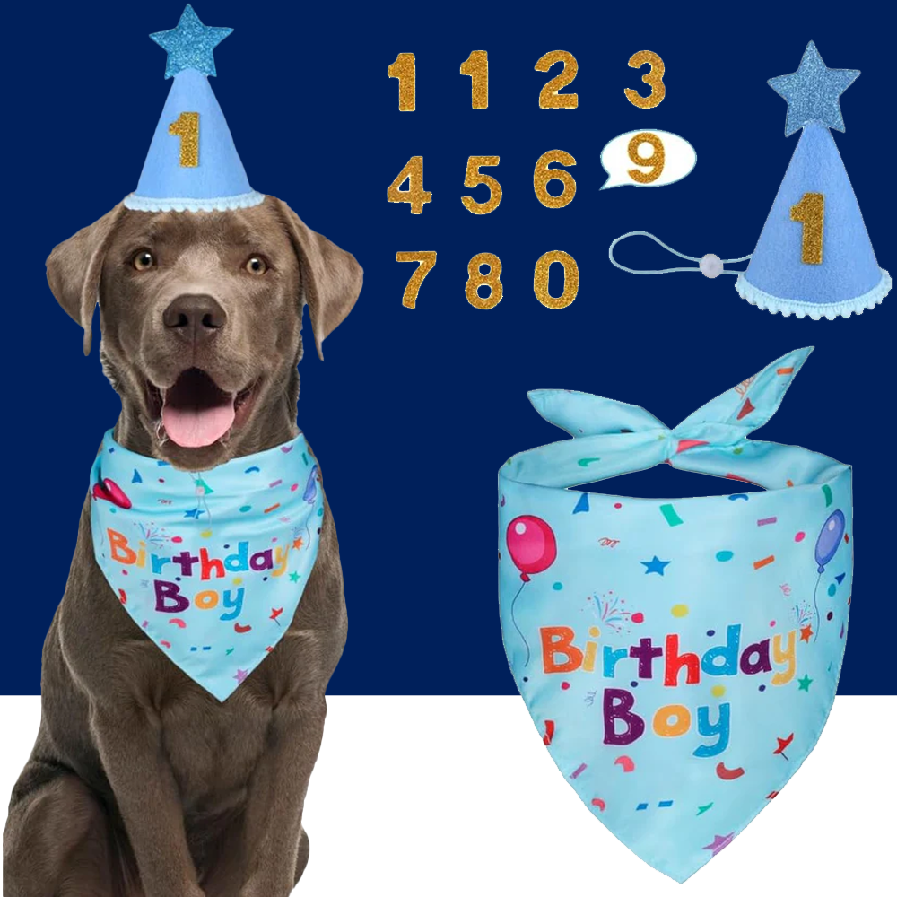 Dog Birthday Party Supplies – Premium Bandana & Hat Set for Dogs