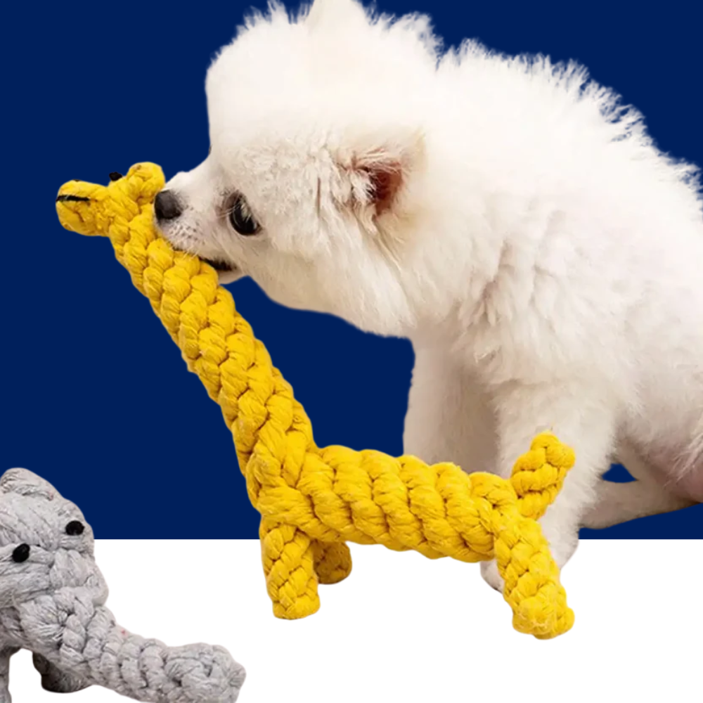 Durable Rope Knot Dog Toy – Hand-Woven Cotton Chew Toy for Small & Medium Dogs