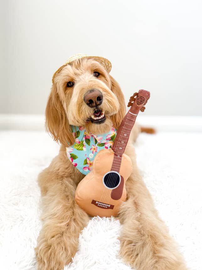PUPROAR Guitar Dog Toy | Cute Squeaky Plush Dog Toy with Crinkle