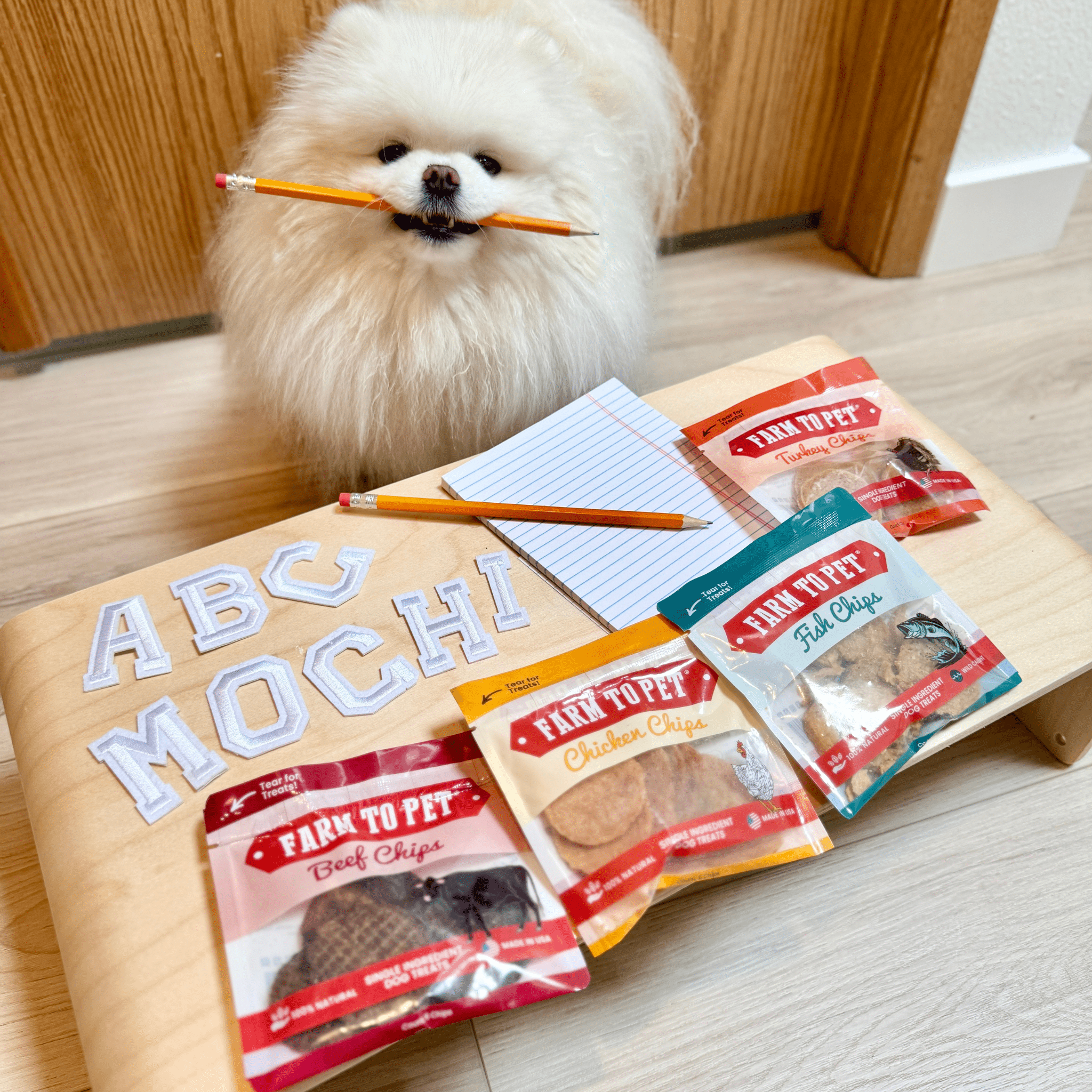 Snack Pack Dog Treat Sampler
