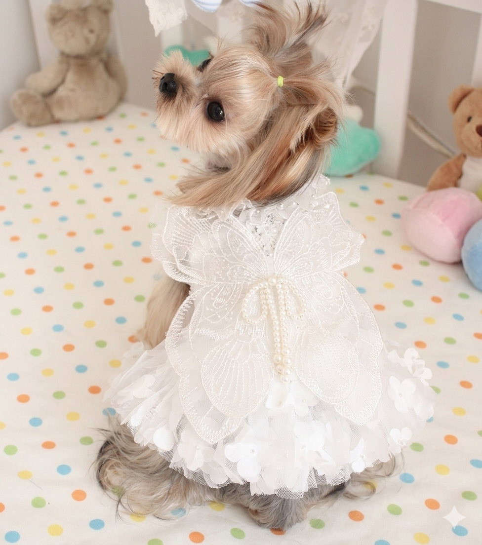 White Angel Dog Dress with Butterfly Wings