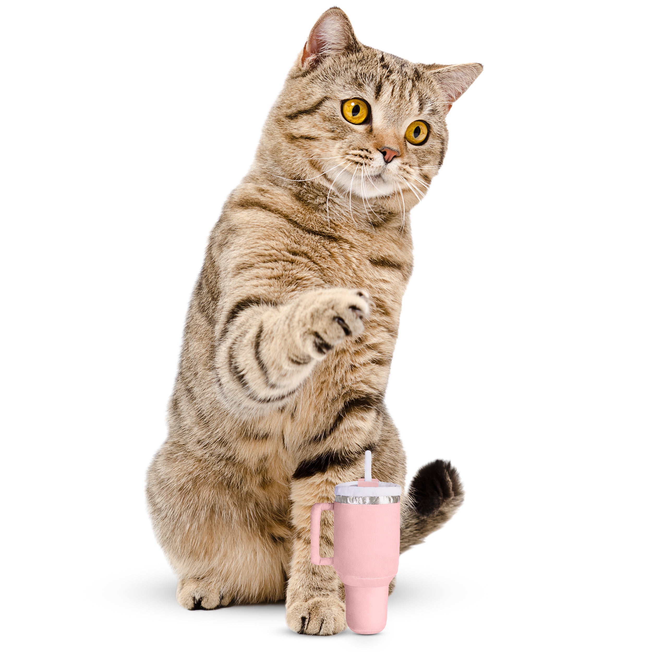 PUPROAR Kitty Cup Cat Toy | Cute Catnip & Crinkle Plush Cat Toy