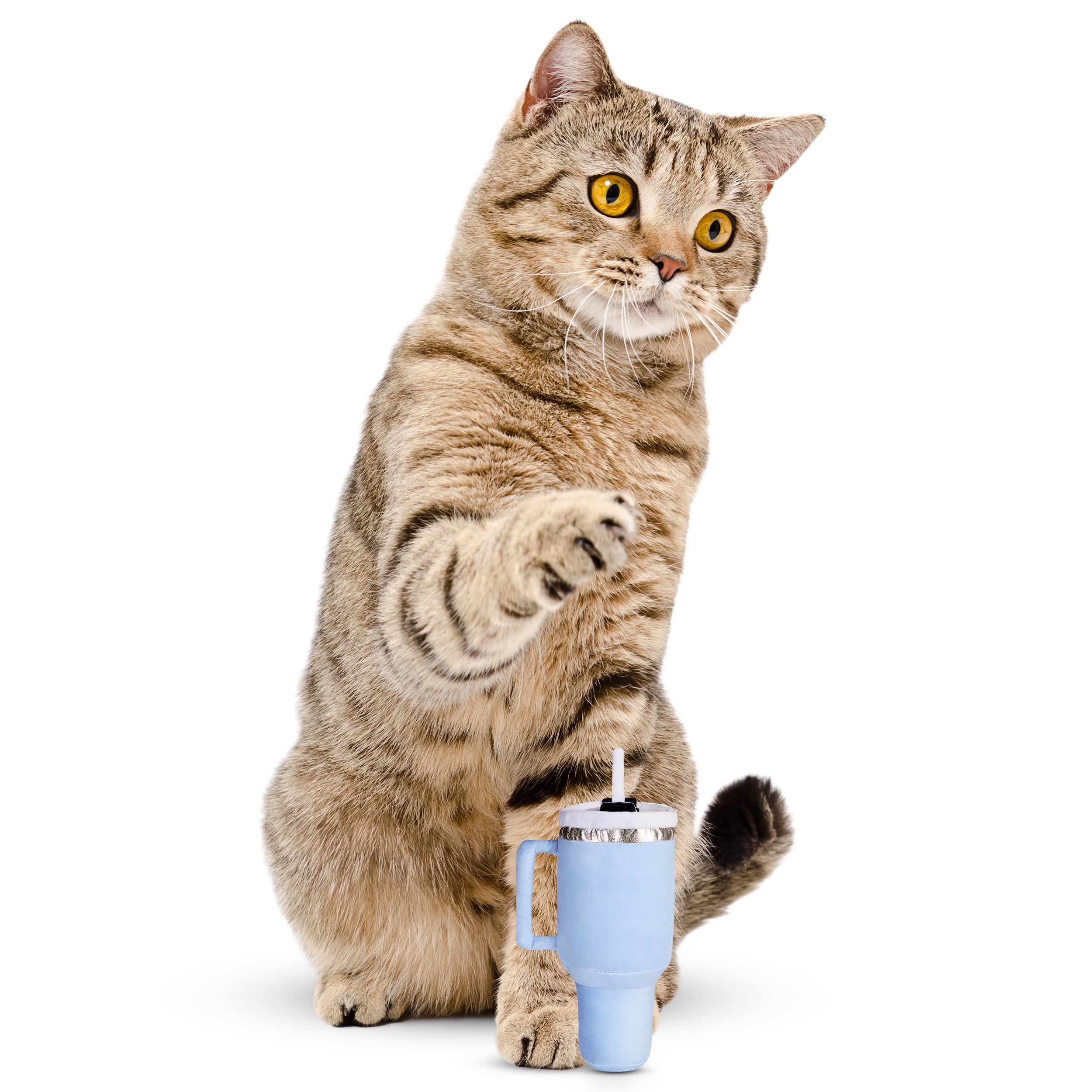 PUPROAR Kitty Cup Cat Toy | Cute Catnip & Crinkle Plush Cat Toy