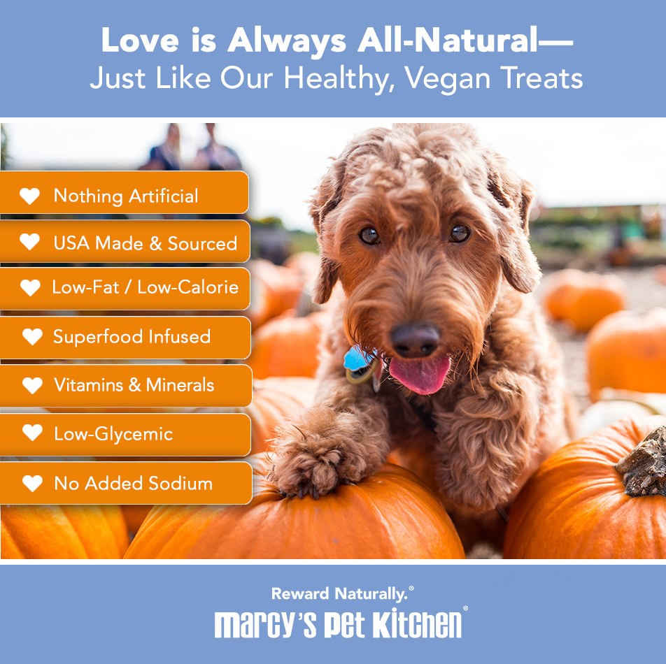 Marcy's Pet Kitchen- All Natural, Vegan Pumpkin Biscuit Dog Treats - Homemade-Vet Approved- Vegan, Gluten Free, Human Grade Ingredients, Made in The USA, Healthy Pumpkin Dog Treats