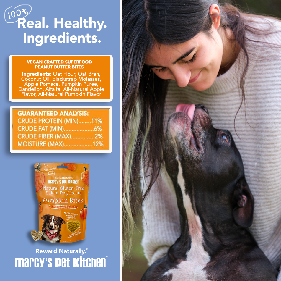 Marcy's Pet Kitchen- All Natural, Vegan Pumpkin Biscuit Dog Treats - Homemade-Vet Approved- Vegan, Gluten Free, Human Grade Ingredients, Made in The USA, Healthy Pumpkin Dog Treats