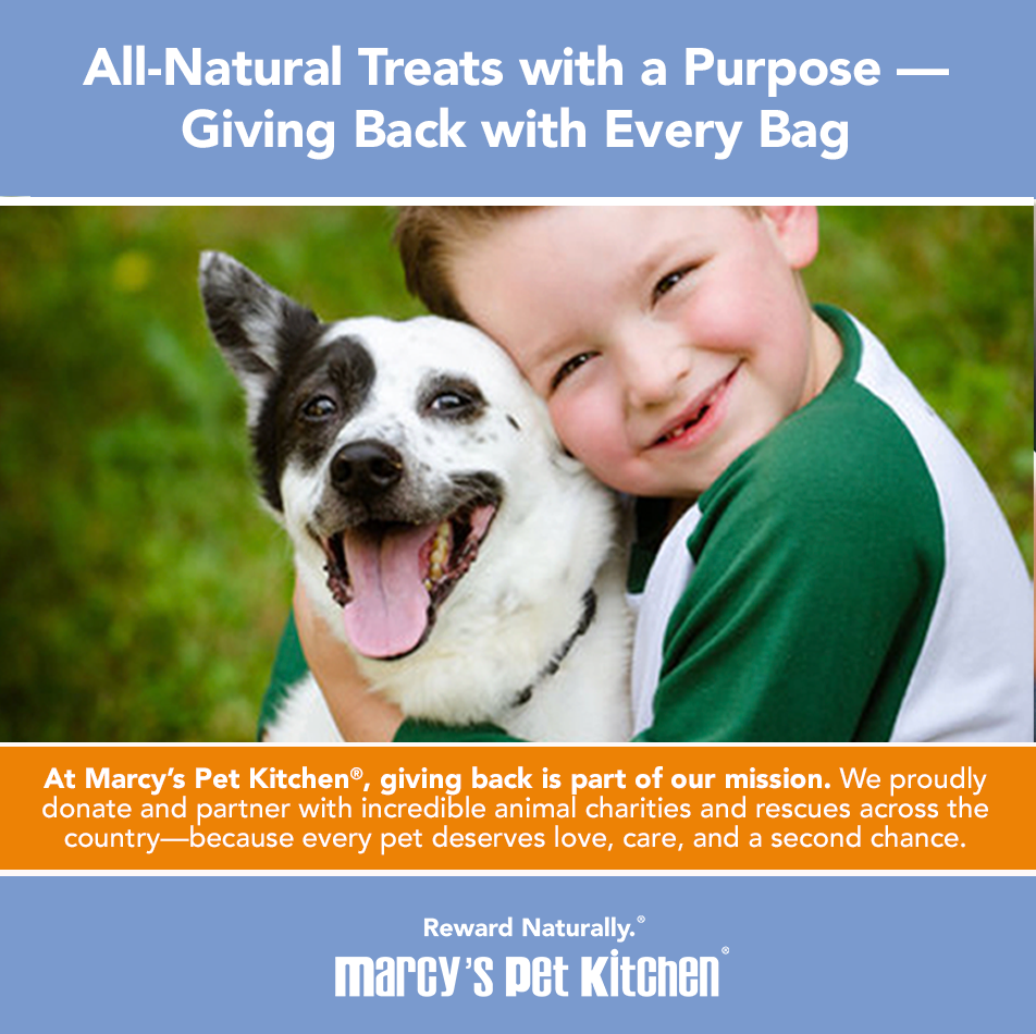 Marcy's Pet Kitchen- All Natural, Vegan Pumpkin Biscuit Dog Treats - Homemade-Vet Approved- Vegan, Gluten Free, Human Grade Ingredients, Made in The USA, Healthy Pumpkin Dog Treats
