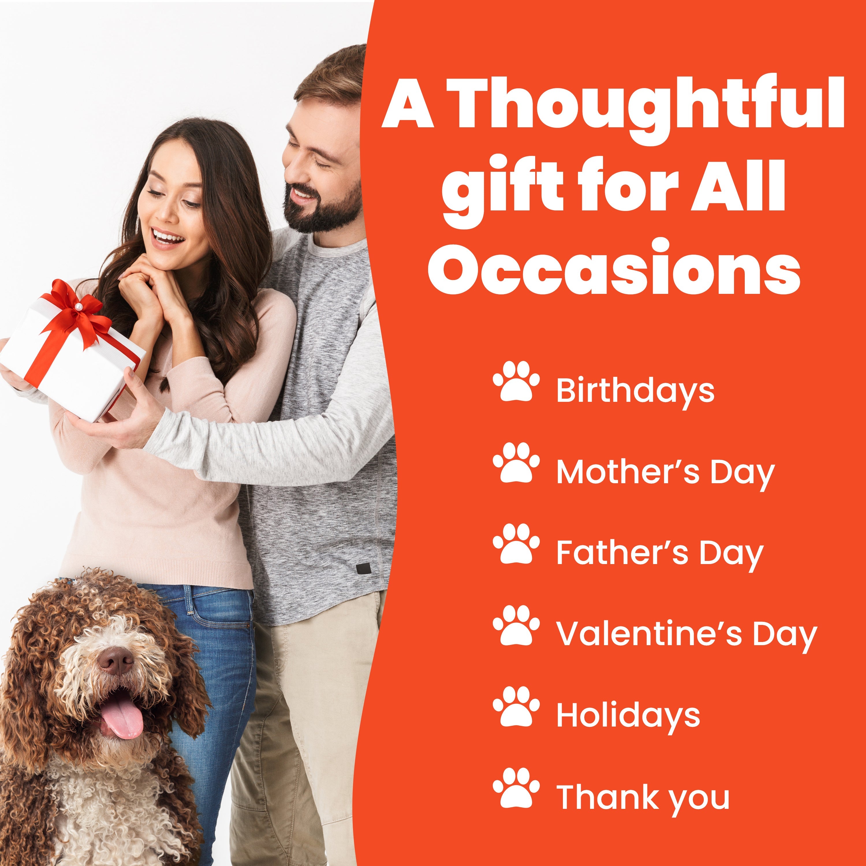 Dog-Themed Stylus Pen Sets