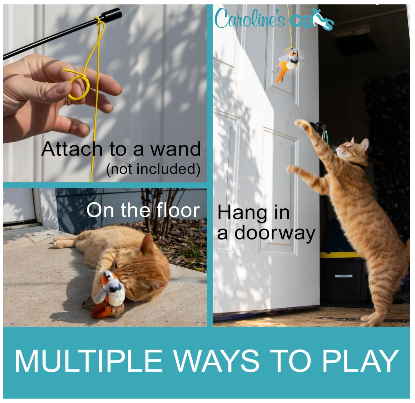 Caroline's Cats Plush Chirping Bird Cat Toy on Elastic String with Doorway Hanger - No Flimsy Suction Cups; Real Electronic Avian Sounds