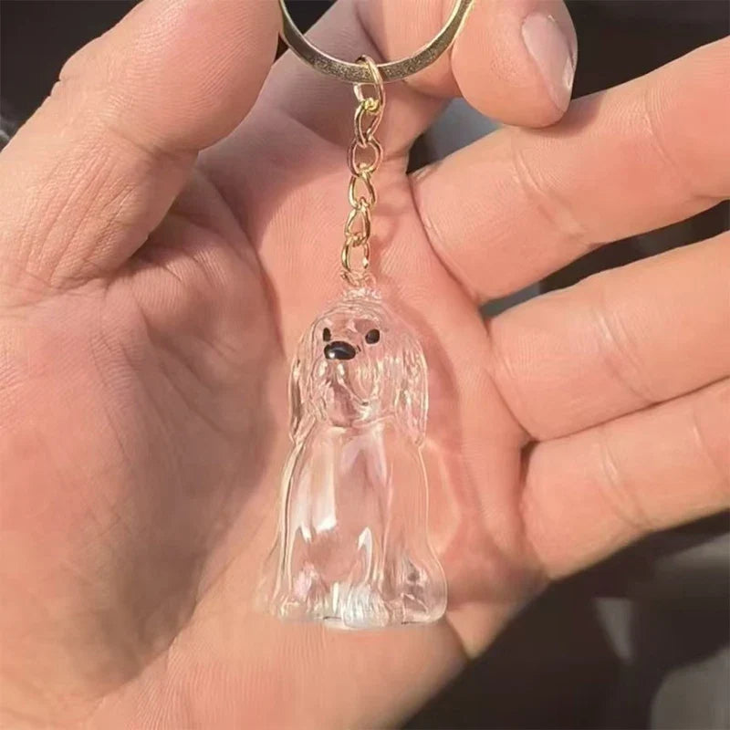 Clear Puppy Hair Memorial Keepsake Capsule | Pet Fur Container DIY Pendant Keychain