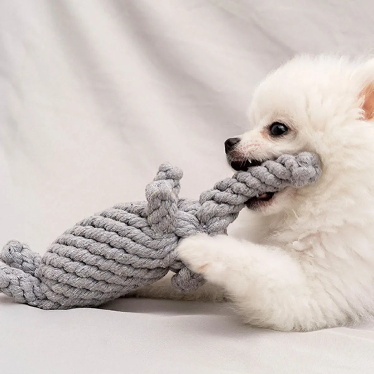 Durable Rope Knot Dog Toy – Hand-Woven Cotton Chew Toy for Small & Medium Dogs