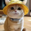 Pet Bucket Hat
