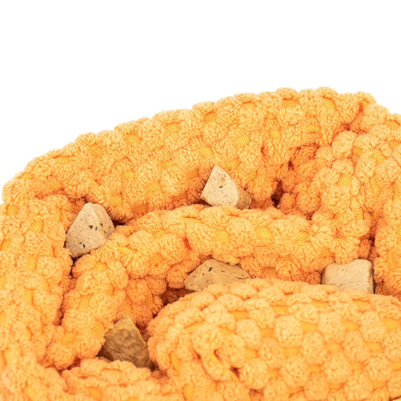 Squeaky Snail Snuffle Dog Toy