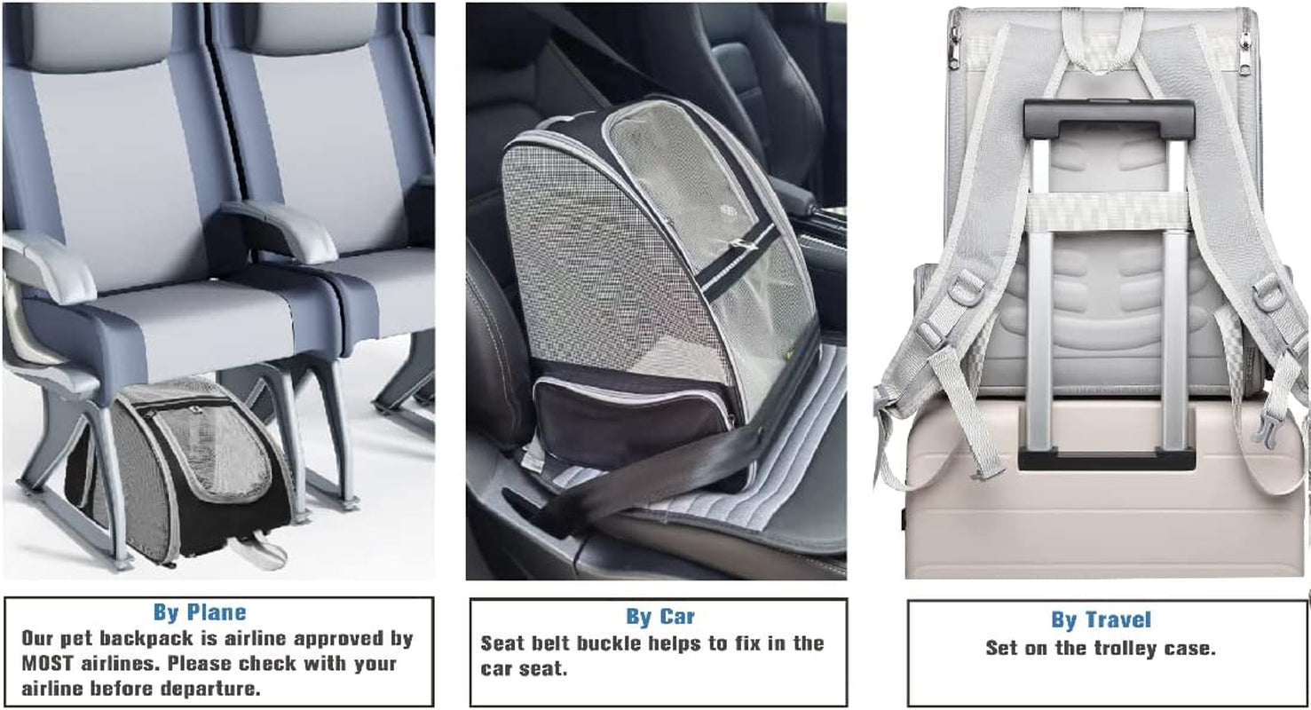 Innovative Traveler Bubble Backpack for Pets – Black