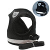 Reflective Cat Harness and Leash for Every Adventure