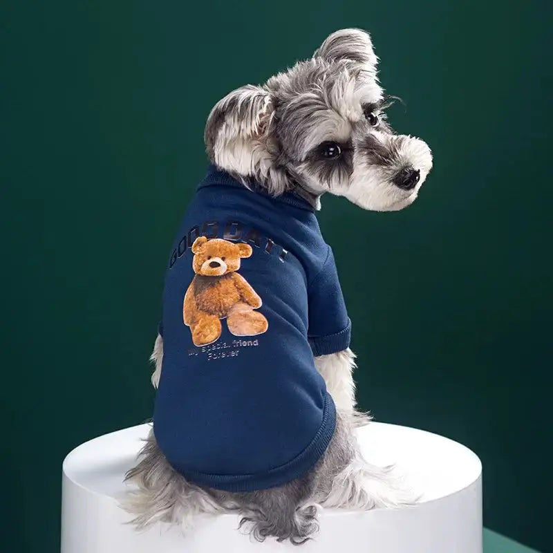 Bear Embrace Cozy Pullover Sweater for Dogs