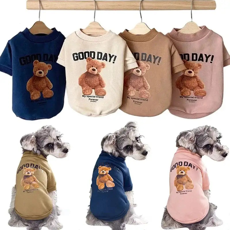 Bear Embrace Cozy Pullover Sweater for Dogs